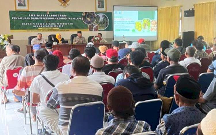 Sosialisasi program pengembangan komoditas kelapa pada sektor hulu oleh BBPDP melalui Divisi Penyaluran Dana Sektor Hulu Perkebunan atau PDSHP. (FOTO: Istimewa)