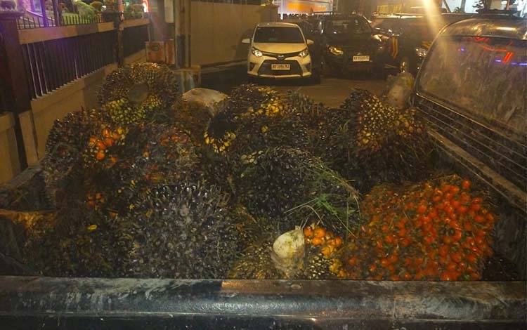 Marak Pencurian Sawit, Satu Pelaku di PT MAP 1 Kotim Ditangkap, Dua Kabur