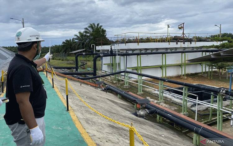 Pakar IPB: Optimalisasi Limbah Sawit Mampu Perkuat Ketahanan Ekonomi