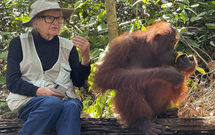 Jenazah Birute Marija Filomena Galdikas Dijadwalkan Dimakamkan di Pangkalan Bun 15 April 2026
