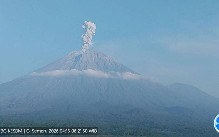 Gunung Semeru erupsi dengan tinggi letusan mencapai 1.200 meter di atas puncak pada Kamis (16/4/2026) pagi. ANTARA/HO-PVMBG