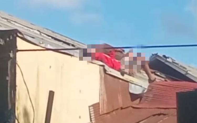 Pria Tersetrum di Atap Rumah, Evakuasi Dramatis Gegerkan Warga Banjarmasin