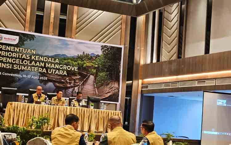 Pengelolaan Mangrove Sumut Ditargetkan Lebih Terarah, Prof Rahmawaty Soroti Pentingnya Pemetaan Kendala