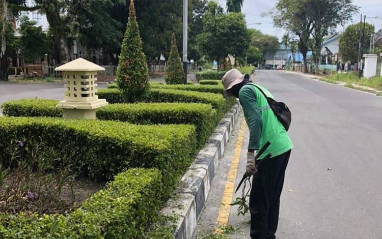DLH Palangka Raya Lakukan Peremajaan Taman