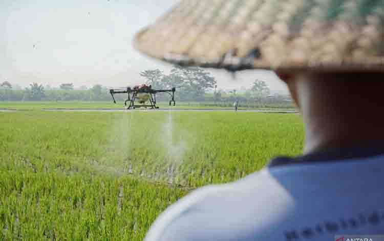 Pengamat Dorong Penguatan Implementasi Strategi Hadapi El Nino