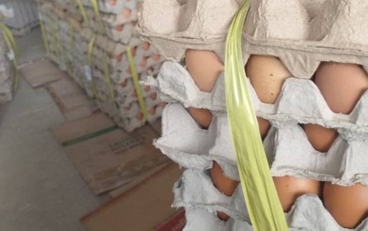 DPRD Palangka Raya Dorong Kemandirian Peternak Lokal Penuhi Kebutuhan Telur