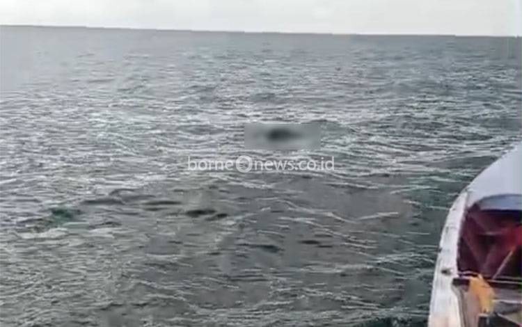 Jasad Remaja Putri Ditemukan Mengapung di Perairan Laut Muara Asam-Asam