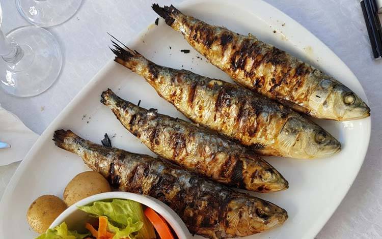 Kebutuhan Ikan Tinggi di Jatim, Kalteng Bidik Peluang Pasok dan Kembangkan Keramba