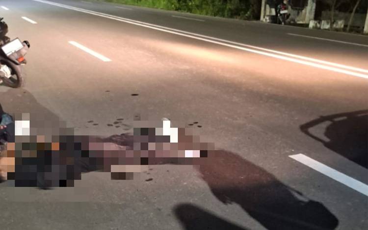 Pemotor Tergeletak di Jalan Ahmad Yani Kuala Kapuas, Diduga Korban Lakalantas