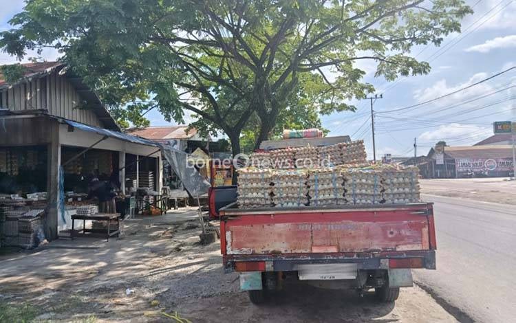 Perketat Pengawasan Distribusi dan Pasar Murah Stabilkan Harga Telur di Palangka Raya