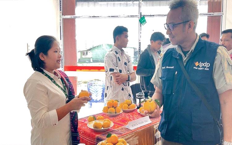 Dari Lintong untuk Dunia: Jeruk Madu TKC Desa Habeahan Diproyeksikan Jadi Komoditas Ekspor Unggulan