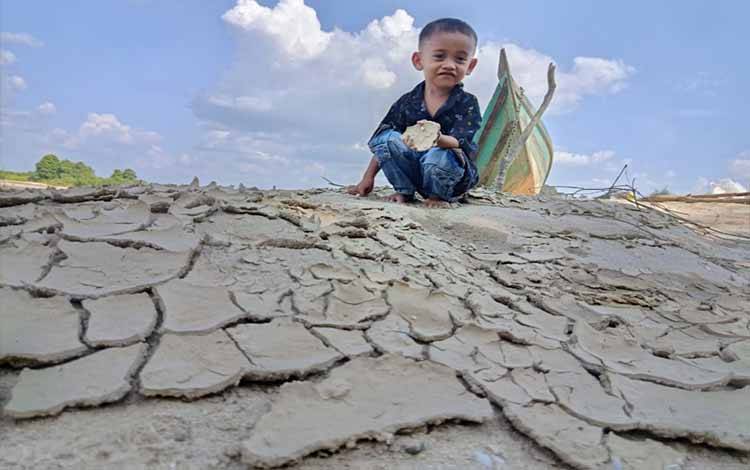 BMKG Peringatkan El Nino 2026, Kalteng Berpotensi Alami Kekeringan Panjang
