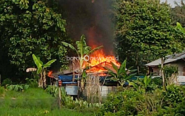 Gudang Hirang Digegerkan Kebakaran Pagi Hari, Rumah di Tepi Sawah Hangus Terbakar