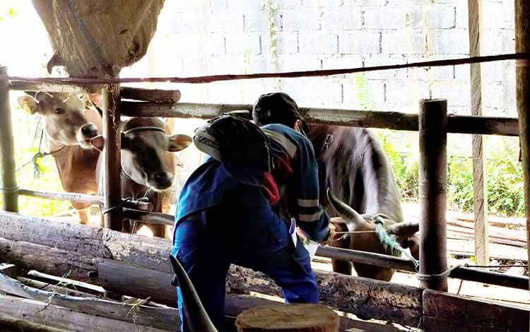 Imbauan Penyembelihan Kurban Sesuai Prosedur, RPH Jadi Alternatif