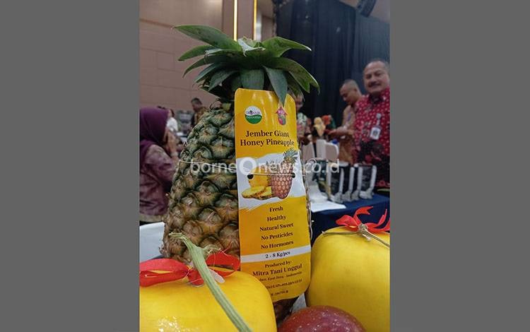 Kampung UMKM Unggulan Disiapkan Perkuat Jejaring Pasca Misi Dagang