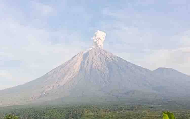 Gunung Semeru Erupsi dengan Tinggi Letusan hingga 800 Meter
