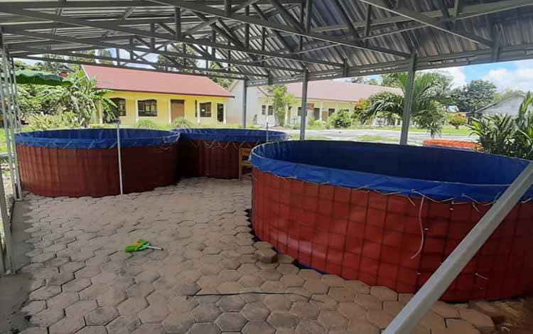 FABA Dimanfaatkan untuk Pengurugan dan Paving Kolam Ikan di Program SMK Berdaya SMKN 1 Pulang Pisau