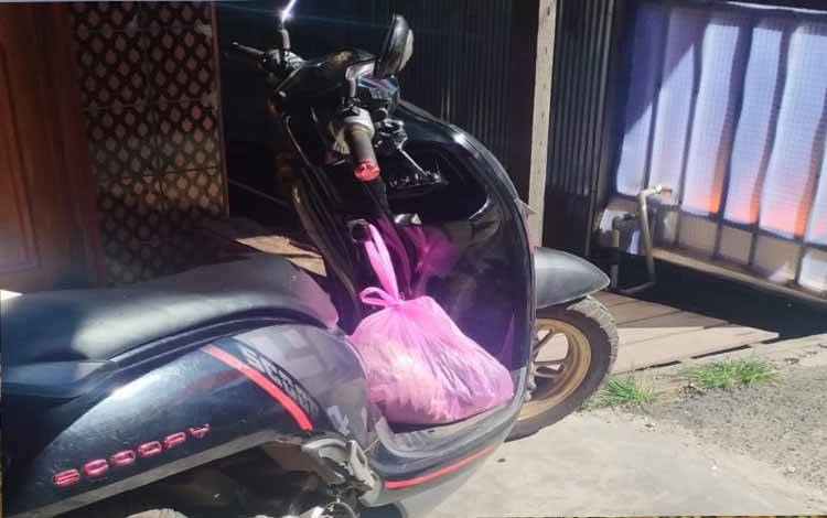 Pencurian Motor di Jalan Kapuas Gagal dan Pelaku Kabur ke Hutan
