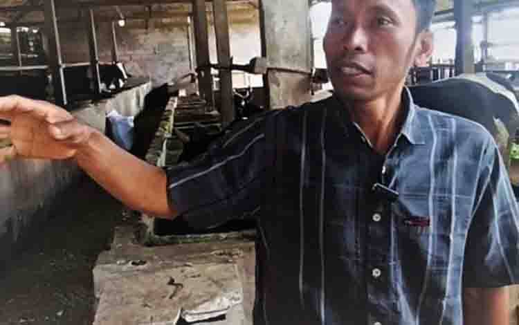 Peternak Sapi di Magetan Manfaatkan Kotoran Ternak Jadi Biogas