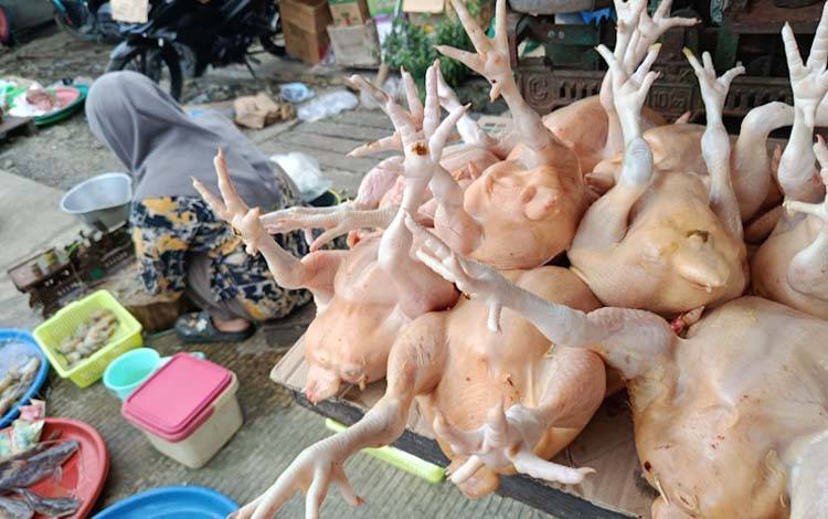 Harga Ayam Ras Potong di Pasar Besar Palangka Raya Rp38 Ribu per Kg