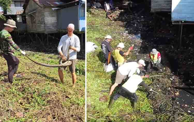Turis Norwegia dan warga menangkap ular piton (kiri). Gotong royong membersihkan Sungai Keramat (kanan). (FOTO: IST)