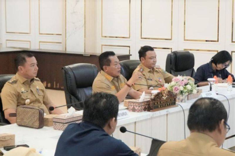 Pemkab Kapuas Sinkronkan Data dengan BPS untuk Dukung Program Strategis Nasional