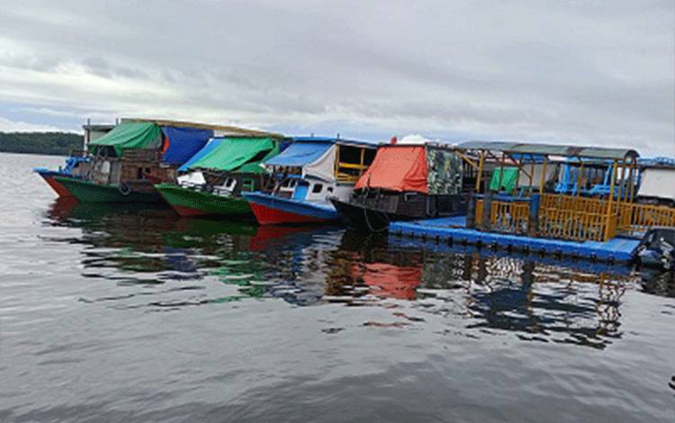 Klotok Wisata di Kumai Kesulitan BBM, Pelaku Usaha Khawatir Ganggu Aktivitas Pariwisata Tanjung Puting