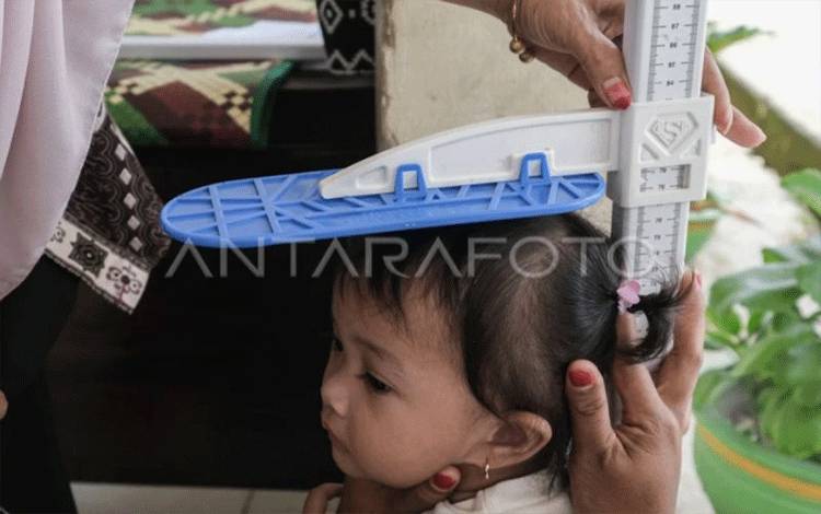 Sukamara Cegah Stunting Sejak 1.000 Hari Pertama Kehidupan