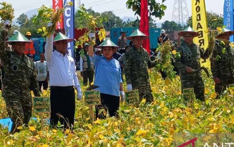 TNI Dukung Peningkatan Produksi Pangan Nasional Termasuk Kedelai