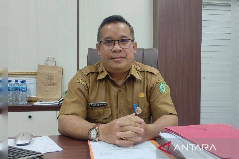 Kepala DPMPTSP Kotawaringin Timur Diana Setiawan. (ANTARA/Devita Maulina)
