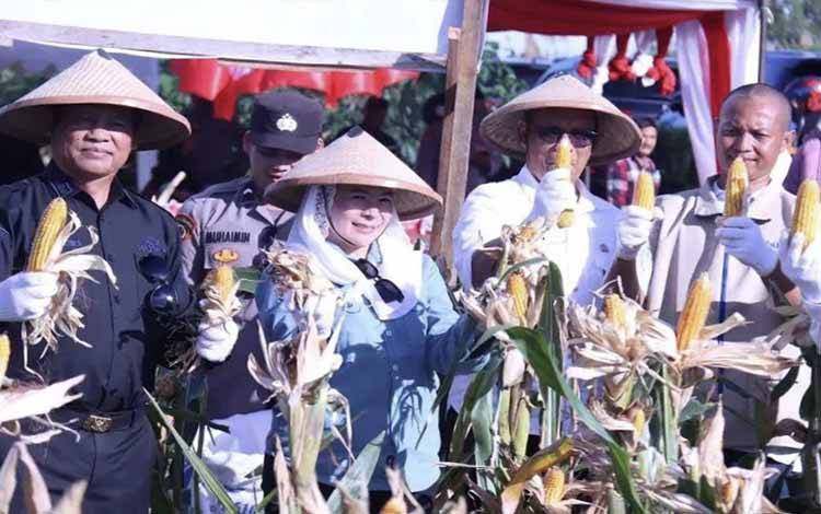 Bupati Seruyan Hadiri Panen Raya Jagung Kuartal II-2026