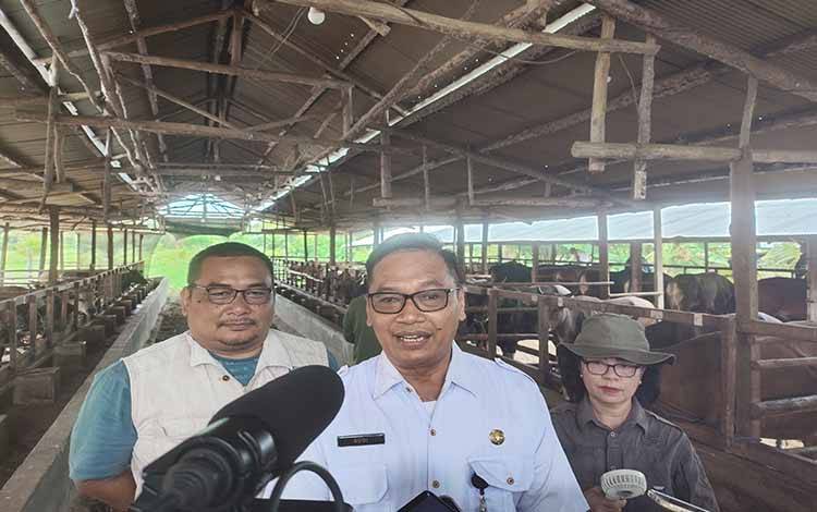 DPKP Palangka Raya Pastikan Hewan Kurban Bebas Penyakit Menjelang Idul Adha