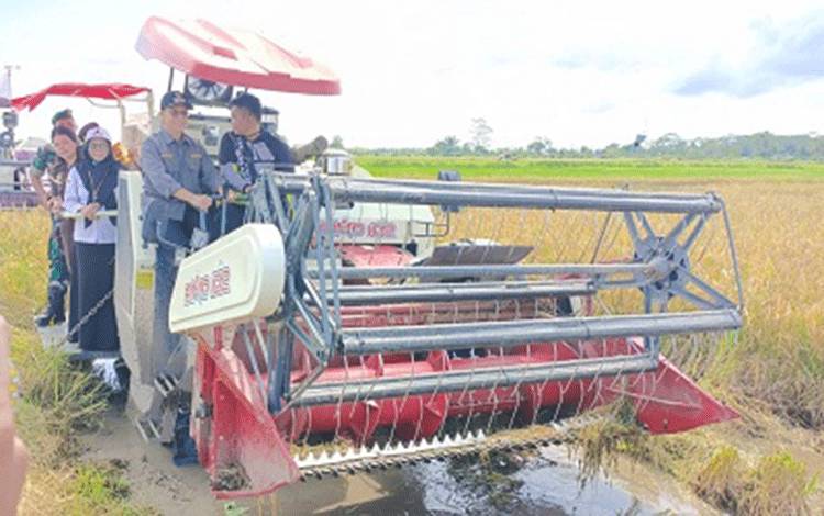 Wabup Seruyan Hadiri Syukuran Panen Padi Desa Persil Raya