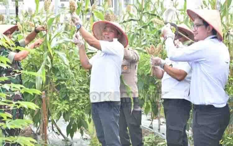 Tiga Strategi Unggulan Pemko Palangka Raya Jaga Stabilitas Pangan