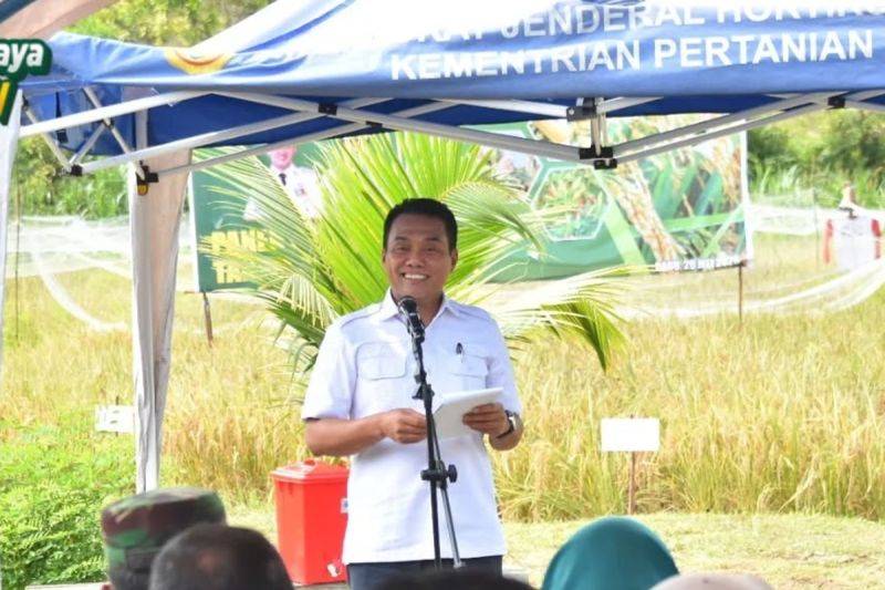 Pemko Palangka Raya Bagikan Ribuan Bibit Cabai untuk Tekan Inflasi dan Perkuat Ketahanan Pangan