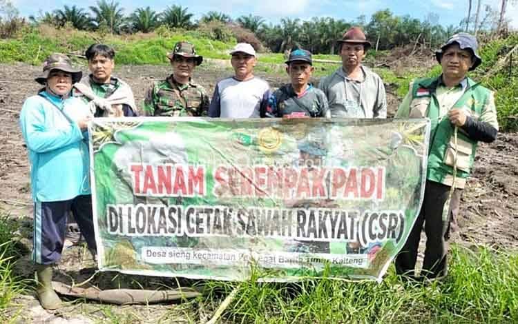 BPP Paju Epat Kawal Tanam Susulan Padi CSR di Desa Siong, Dorong Percepatan Luas Tambah Tanam