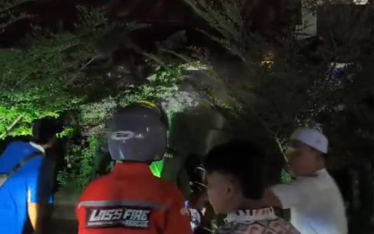 Api Muncul di Kawasan Taman Adipura Kuala Kapuas, Warga Panik
