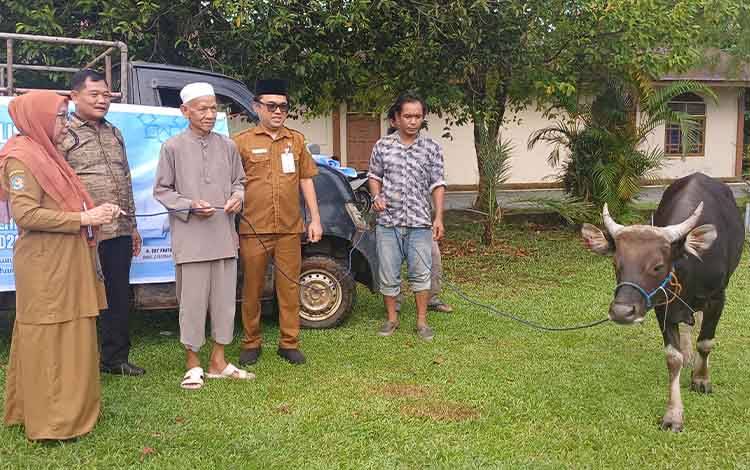 DPRD Kalteng Apresiasi Bantuan 38 Sapi Kurban dari Gubernur untuk Masyarakat Kotim