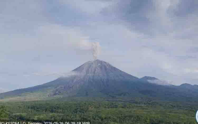 Gunung Semeru erupsi dengan tinggi letusan mencapai 1.000 meter di atas puncak pada Selasa (26/5/2026). ANTARA/HO-PVMBG