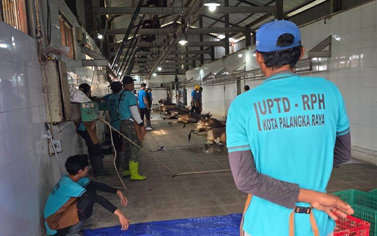 RPH Palangka Raya Layani Penyembelihan Hewan Kurban Idul Adha 1447 Hijriah