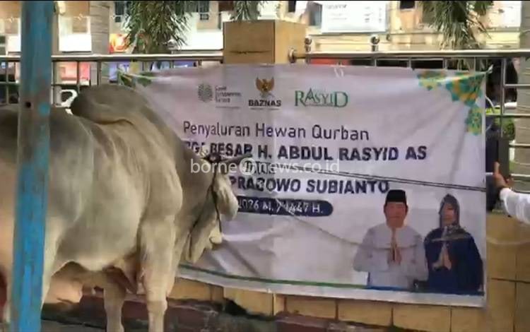 Pengusaha Kalteng H Abdul Rasyid AS Berkurban 27 Ekor Sapi di Palangka Raya
