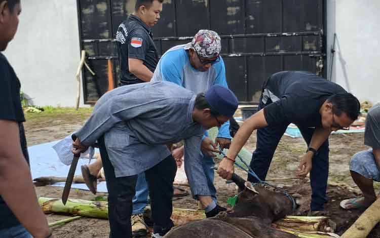 Penyembelihan kurban oleh DPW Partai NasDem Kalteng untuk masyarakat di sekitar Kantor DPW Partai NasDem Kalteng, Kamis (28/5/2026) (Foto:MARINI)