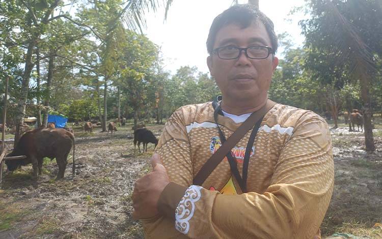 DPKP Kotim Pastikan 1.650 Hewan Kurban Aman Dikonsumsi Usai Pemeriksaan Post Mortem