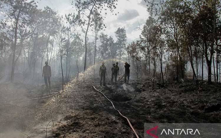 BNPB Ingatkan Kewaspadaan Multibencana Jadi Prioritas Jelang Musim Kemarau