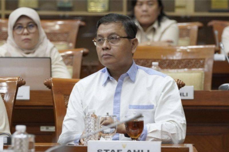 Staf Ahli Menteri HAM Bidang Reformasi Birokrasi dan Legislasi Rumadi Ahmad. (ANTARA/HO-KemenHAM)