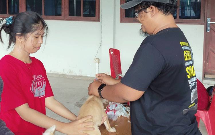 Anak-anak muda mengantarkan hewan kesayangannya untuk mendapatkan vaksin rabies di halaman Gereja Marturia, Palangka Raya pada Sabtu, 30 Mei 2026. (FOTO: TESTI PRISCILLA)
