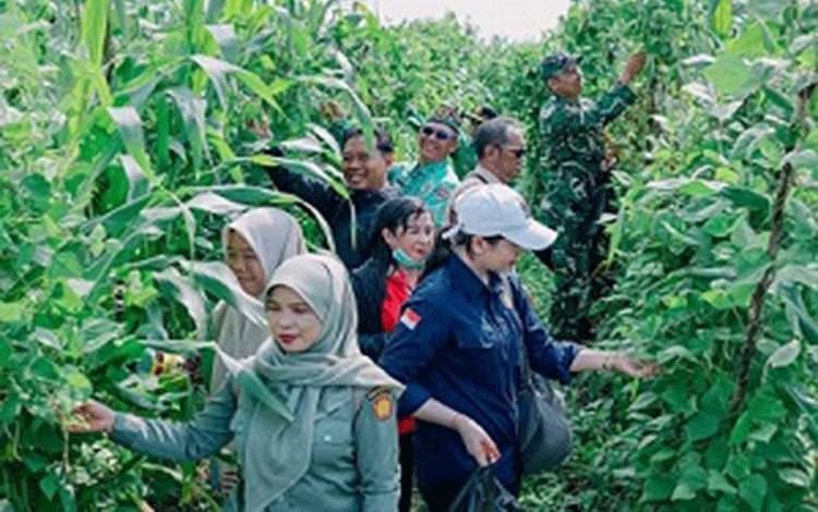 BUMDes Sei Asam Belum Untung, Kapuas Hilir Tetap Pertahankan Program Ketahanan Pangan
