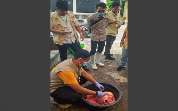 Dinas Pertanian Palangka Raya Pastikan Hewan Kurban Termasuk Bantuan Presiden Layak Konsumsi