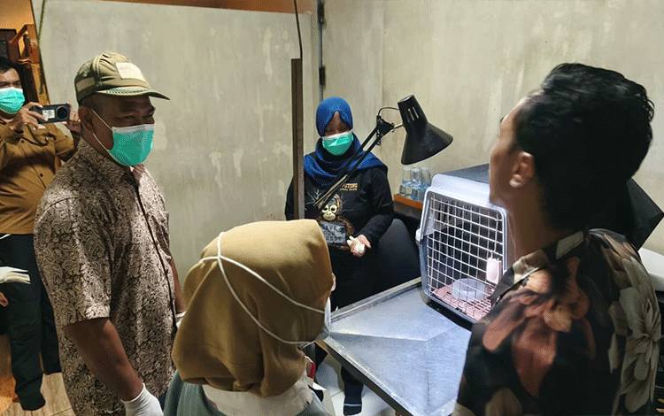 Polhut BKSDA Kalteng Ajak Masyarakat Hidup Berdampingan dengan Satwa Liar