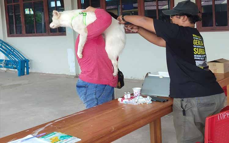 Vaksinasi Rabies Terus Digencarkan untuk Lindungi Hewan dan Manusia